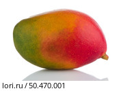 Mango fruit on white reflective background. Стоковое фото, агентство Ingram Publishing / Фотобанк Лори