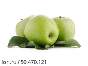 Three fresh green apples on white background. Стоковое фото, агентство Ingram Publishing / Фотобанк Лори