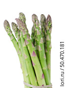 Bunch of green asparagus, in a vertical position, isolated on white background. Стоковое фото, агентство Ingram Publishing / Фотобанк Лори
