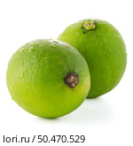 Fresh green limes isolated on white background. Стоковое фото, агентство Ingram Publishing / Фотобанк Лори