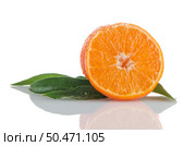 Ripe tangerines or mandarin isolated on white background. Стоковое фото, агентство Ingram Publishing / Фотобанк Лори