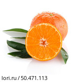 Ripe tangerines or mandarin isolated on white background. Стоковое фото, агентство Ingram Publishing / Фотобанк Лори