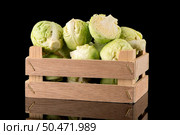 Fresh brussels sprouts on wooden box isolated on black background. Стоковое фото, агентство Ingram Publishing / Фотобанк Лори