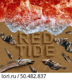 Red tide as  harmful algal blooms as a beach warning with hazardous natural toxin in the ocean or sea toxins s a concept for deadly natural toxic algae in a 3D illustration style. Стоковое фото, агентство Ingram Publishing / Фотобанк Лори