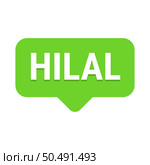 Hilal Sighting Green Vector Callout Banner with Information on the Crescent Moon. Стоковая иллюстрация, агентство Ingram Publishing / Фотобанк Лори