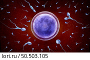 Sperm disorder and Male Infertility and reproduction concept as abnormal microscopic sperm or spermatozoa cells swimming towards an egg cell to fertilize as a urology symbol as a 3D render. Стоковое фото, агентство Ingram Publishing / Фотобанк Лори