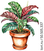 Calathea plant in a pot. Watercolor illustration on white background. Element, Sticker, Poster. Houseplants. Стоковое AI-изображение, AI-художник Ирина Самойлова / Фотобанк Лори