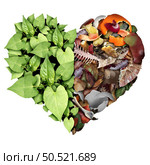 Compost love and composting or composted soil cycle as a composting pile of rotting kitchen scraps with fruits and vegetable garbage waste turning into organic fertilizer for plant growth shaped into a heart. Стоковое фото, агентство Ingram Publishing / Фотобанк Лори