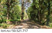 Point of view shot of riding a bicycle in Sever do Vouga, Portugal. Features a wide view of the bike track and the natural scenery. Стоковое фото, агентство Ingram Publishing / Фотобанк Лори