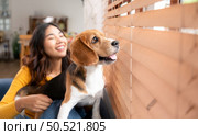 Beagle dog with her owner’s girl on a weekend getaway sitting and resting and looking out of the window in the living room of the house. Стоковое фото, агентство Ingram Publishing / Фотобанк Лори