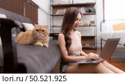 On the sofa is an intelligent Persian cat. Staring at show on the computer screen opened by the owner while working in the living room at home. Стоковое фото, агентство Ingram Publishing / Фотобанк Лори