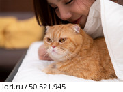 An intelligent Persian cat and owner playing together in bed. Стоковое фото, агентство Ingram Publishing / Фотобанк Лори