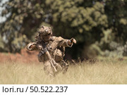 Special forces soldier in camouflage with a pair of weapons that are full of modern technology and complete for battle. Стоковое фото, агентство Ingram Publishing / Фотобанк Лори