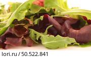 Salad mix with rucola, frisee, radicchio and lamb’s lettuce. Isolated on white background. Стоковое фото, агентство Ingram Publishing / Фотобанк Лори