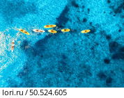 Aerial view of yellow kayaks in blue sea at summer sunny day. People on floating canoes in clear azure water. Sardinia island, Italy. Tropical landscape. Sup boards. Active travel. Top view from drone. Стоковое фото, агентство Ingram Publishing / Фотобанк Лори