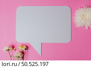 blank speech rectangle with conner rounded and flower on pink background. Стоковое фото, агентство Ingram Publishing / Фотобанк Лори