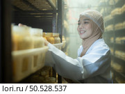 Young asian muslim female scientist doing research at a mushroom factory, examining mushroom leavening agent in a sterile and temperature-controlled room. Стоковое фото, агентство Ingram Publishing / Фотобанк Лори