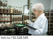 Young asian muslim female scientist doing research at a mushroom factory, examining mushroom leavening agent in a sterile and temperature-controlled room. Стоковое фото, агентство Ingram Publishing / Фотобанк Лори