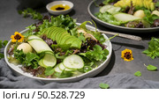 Fresh summer salad with cucumber, melon, avocado and fresh oregano served on ceramic plates. Стоковое фото, агентство Ingram Publishing / Фотобанк Лори