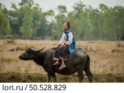 woman sitting on the back of a buffalo in the meadow. Стоковое фото, агентство Ingram Publishing / Фотобанк Лори
