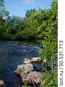 View on the river Liffey on spring time, Celbridge, Ireland. Стоковое фото, фотограф Татьяна Кахилл / Фотобанк Лори