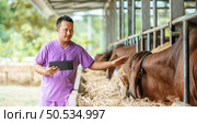Asian young farmer man with tablet pc computer and cows in cowshed on dairy farm. Agriculture industry, farming, people, technology and animal husbandry concept. Стоковое фото, агентство Ingram Publishing / Фотобанк Лори