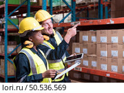 Warehouse foreman and employees Check the imported products in the central warehouse. before delivering to each region’s distribution centers. Стоковое фото, агентство Ingram Publishing / Фотобанк Лори