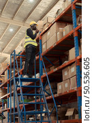 Warehouse workers in a large warehouse Climb the ladder to inspect the goods on the top shelves. Стоковое фото, агентство Ingram Publishing / Фотобанк Лори
