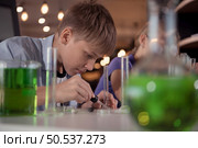 Science classroom helps students learn to observe, investigate and experiment about natural phenomena and then systematize results, principles, concepts and theories. Стоковое фото, агентство Ingram Publishing / Фотобанк Лори