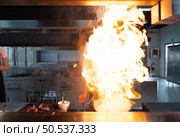 Chefs that specialize in cooking will be meticulous with every cooking process. Even minor details will not be overlooked. As with stir-fry, high heat will be used until a flaming flame appears. Стоковое фото, агентство Ingram Publishing / Фотобанк Лори