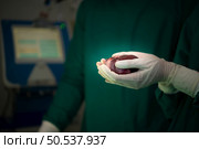Professor of medicine in cardiology and a team of doctors in the operating room undergoing heart transplant surgery. Стоковое фото, агентство Ingram Publishing / Фотобанк Лори