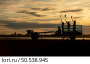 Rural life of more than 70% of Thai farmers is involved in rice farming. these farming families have been living for a long time from the past to the present and will pass it on to the next generation. Стоковое фото, агентство Ingram Publishing / Фотобанк Лори