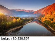 Aerial view of blue lake in mountains with red and orange forest in fog at sunset in autumn. River in carpathian mountains in fall in Ukraine. Rural landscape. Top view of hiils with woods. Travel. Стоковое фото, агентство Ingram Publishing / Фотобанк Лори