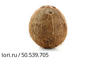 Coconut isolated on white. Стоковое фото, агентство Ingram Publishing / Фотобанк Лори