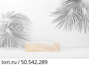 Abstract background with natural wooden podiums and silvery palm leaves, empty showcase for display or presentation of cosmetic products, stage with geometric shapes, minimal ecology concept, selective focus. Стоковое фото, фотограф Светлана Балынь / Фотобанк Лори