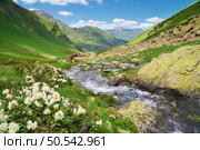 River in mountain valley and white blooming rhododendrons. Стоковое фото, агентство Ingram Publishing / Фотобанк Лори