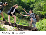 Group of friend on a sunny day in the forest Young group hiker with backpack and trekking poles helping to pull each other up to stand on the log. Стоковое фото, агентство Ingram Publishing / Фотобанк Лори