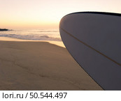 Surfboard nose shape with beach sunset on the background. Стоковое фото, агентство Ingram Publishing / Фотобанк Лори