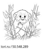 Monkey in bamboo forest. Monochrome vector illustration for coloring book. Стоковая иллюстрация, агентство Ingram Publishing / Фотобанк Лори