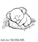 Cute koala sleeping on a wooden branch. Vector illustration. Стоковая иллюстрация, агентство Ingram Publishing / Фотобанк Лори