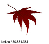 Maple autumn leaf. Element for making fall season designs. Vector illustration. Стоковая иллюстрация, агентство Ingram Publishing / Фотобанк Лори