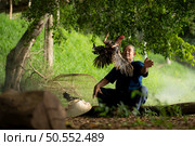 Villagers in rural Thailand are raising fighting cocks to compete in cockfighting, a native sport. Стоковое фото, агентство Ingram Publishing / Фотобанк Лори