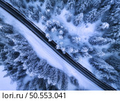 Aerial view of mountain road in fairy forest in snow in winter in blue hour. Top view from drone of highway, snowy pine trees at dusk. Beautiful rural road in woods in twilight. Travel in Slovenia. Стоковое фото, агентство Ingram Publishing / Фотобанк Лори