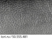 Grey artificial eather texture background. Стоковое фото, агентство Ingram Publishing / Фотобанк Лори