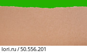 Green screen cardboard texture background. Old vintage brown paper box surface. Стоковое фото, агентство Ingram Publishing / Фотобанк Лори