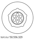 Grate for meat grinder plate mincer device for growing shallow of meat lattice with nut screw female screw pawl stop latch holder icon in circle round black color vector illustration image outline contour line thin style simple. Grate for meat grinder plate mincer device for growing shallow of meat lattice with nut screw female screw pawl stop latch holder icon in circle round black color vector illustration image outline contour line thin style. Стоковая иллюстрация, агентство Ingram Publishing / Фотобанк Лори