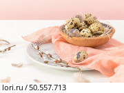 Quail eggs in a ceramic bowl with a peach fuzz pink colored scarf and bird feathers. Wooden table painted white and a plain pink background. Background with elements suggestive of the Easter season. Стоковое фото, агентство Ingram Publishing / Фотобанк Лори