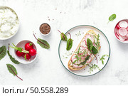 Radish sandwiches with cottage cheese and fresh green leaves, top down view . Стоковое фото, агентство Ingram Publishing / Фотобанк Лори