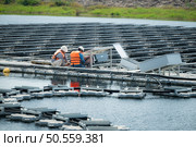 Both of technicians are currently evaluating and repairing the transmission terminals for electricity generated by solar energy in a floating solar power system. Стоковое фото, агентство Ingram Publishing / Фотобанк Лори