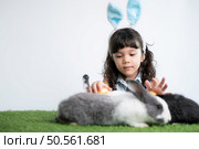 Easter bunny fun with little children the beauty of friendship between humans and animals. Стоковое фото, агентство Ingram Publishing / Фотобанк Лори